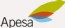 Logo APESA